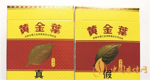 如何辨別黃金葉金滿堂真假？2020黃金葉真假辨別詳情對比