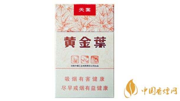 黃金葉天葉真?zhèn)卧趺幢鎰e？天葉真假如何看？