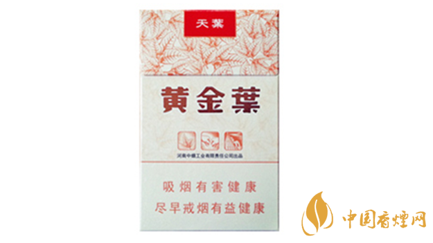 黃金葉天葉真假怎樣區(qū)分？黃金葉天葉真假識別