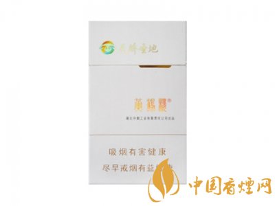 黃鶴樓(天驕?zhǔn)サ丶氈?