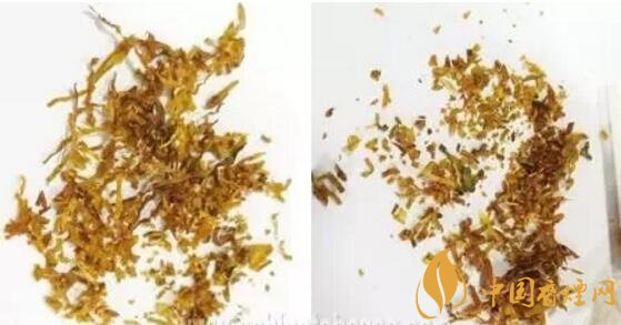 冬蟲夏草（和潤(rùn)）真假鑒別，春節(jié)防止被騙